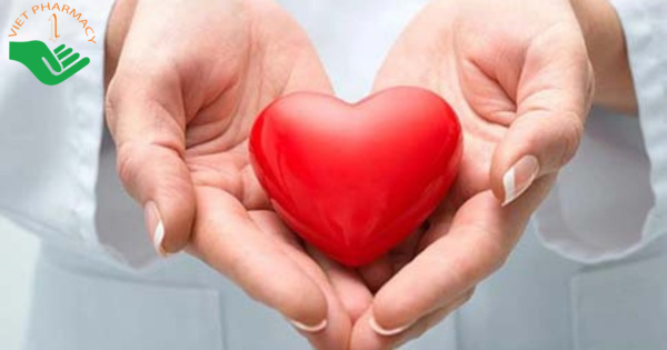 Đông trùng hạ thả giúp cải thiện tình trạng tim mạch