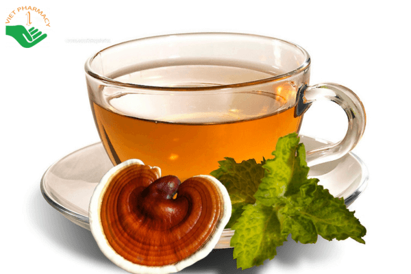 Nấu trà linh chi giúp bồi bổ sức khỏe