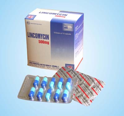 Thuốc lincomycin