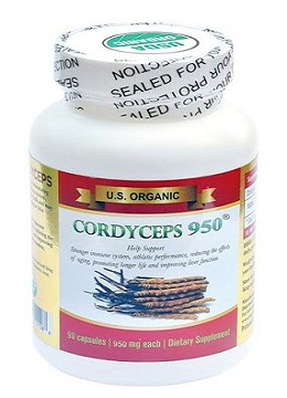 Viên nang Cordyceps 950