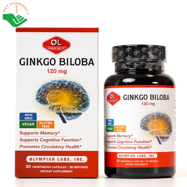 Bổ não Ginkgo Biloba 120mg