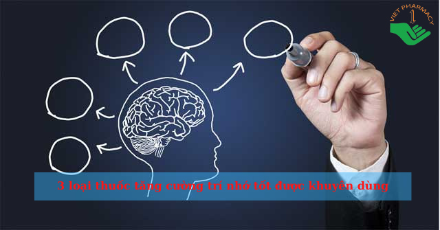 Top 3 loại thuốc tăng cường trí nhớ tốt được Bác sĩ khuyên dùng