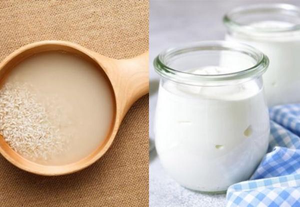 Sữa chua và nước vo gạo giúp làm trắng da và phục hồi làn da bị lão hoá