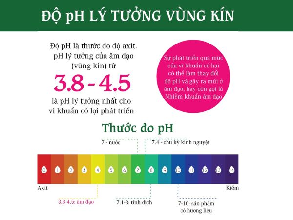 Đảm bảo dung dịch vệ sinh phụ nữ có độ pH từ 4 - 4,5 