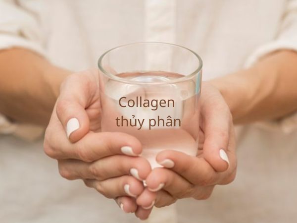 Collagen thủy phân không có mùi và vị