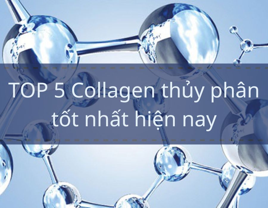 collagen thủy phân