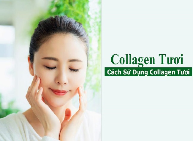 Cách sử dụng collagen tươi tốt nhất và hiệu quả nhất