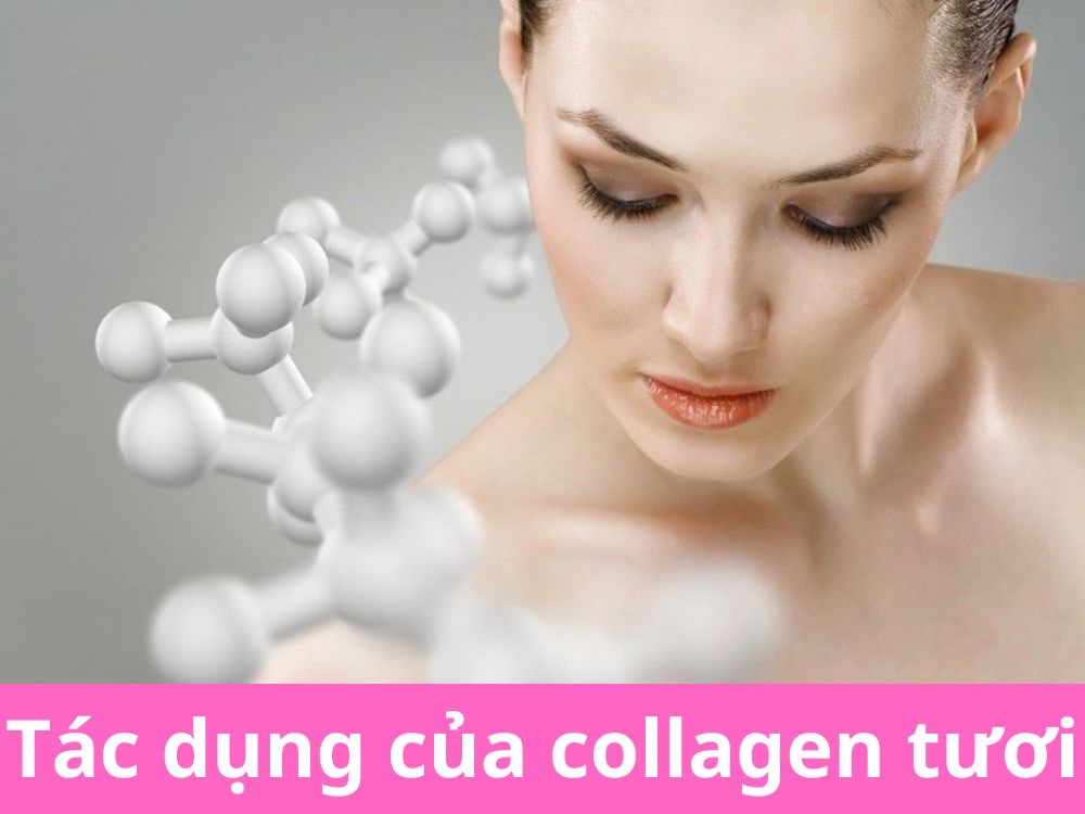 Collagen tươi có tốt không? Tác dụng của collagen tươi