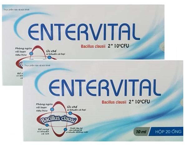 Men tiêu hoá Entervital chứa thành phần chính là lợi khuẩn Bacillus clausii