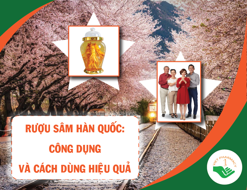 Nhân sâm Hàn Quốc là gì?
