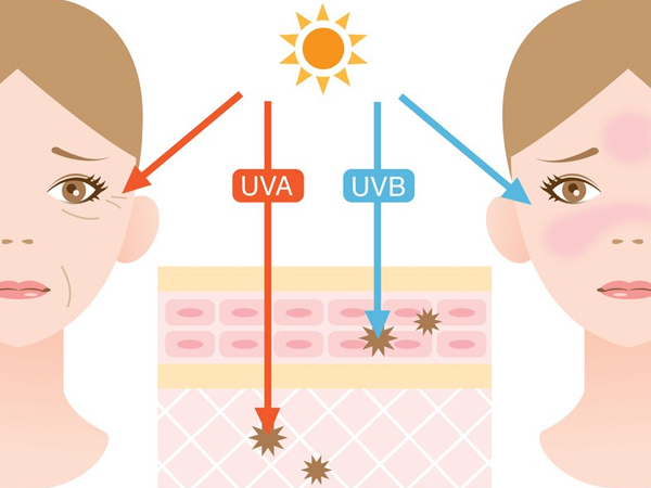 Kem chống nắng có khả năng chống lại tác hại của tia UV