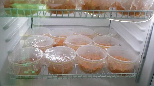 Cần bảo quản đông trùng hạ thảo tươi trong tủ lạnh