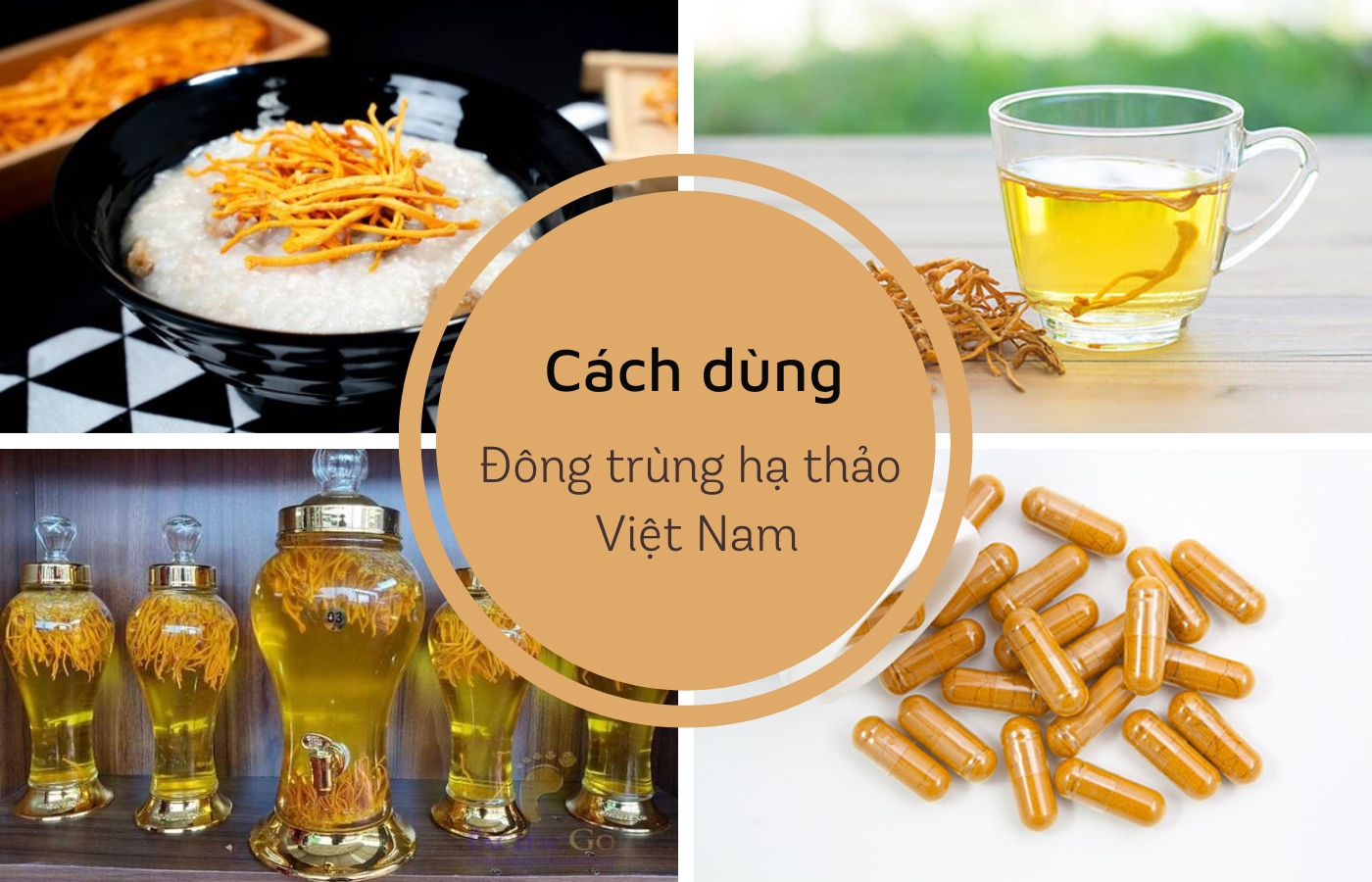 Một số cách chế biến của đông trùng hạ thảo Việt Nam