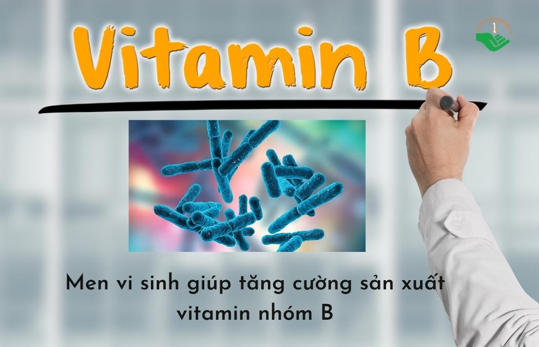 Men vi sinh giúp sản xuất vitamin nhóm B