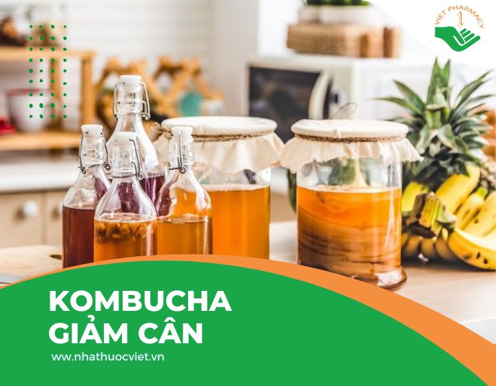 Cách uống Kombucha giảm cân hiệu quả nhất