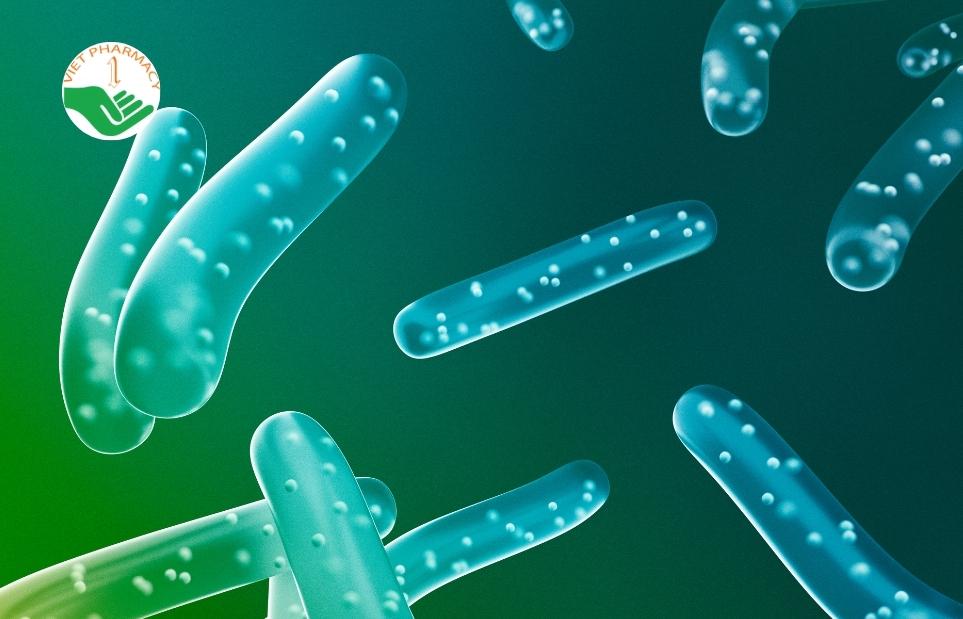 Lợi khuẩn chất lượng cao tạo nên hiệu quả của men vi sinh Optibac