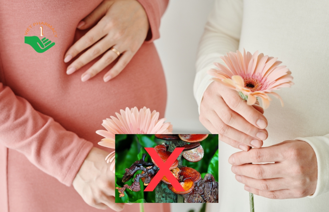 Phụ nữ mang thai không được tự ý dùng nấm linh chi
