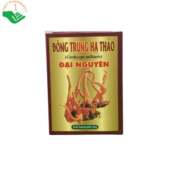 Đông Trùng Hạ Thảo Đại Nguyên