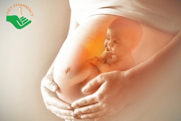 Đông trùng hạ thảo giúp bổ sung dưỡng chất cho cả mẹ và thai nhi
