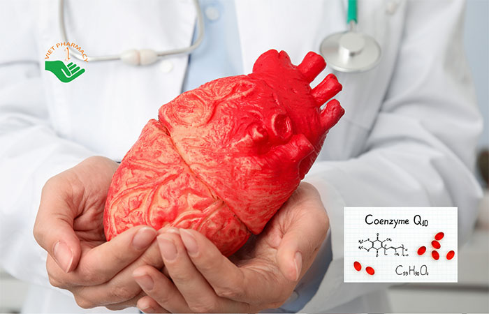 Bảo vệ tim mạch là tác dụng nổi bật của Coenzyme Q10