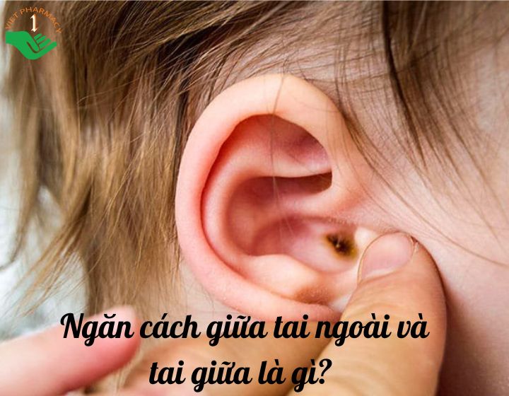 Ngăn cách giữa tai ngoài và tai giữa là gì