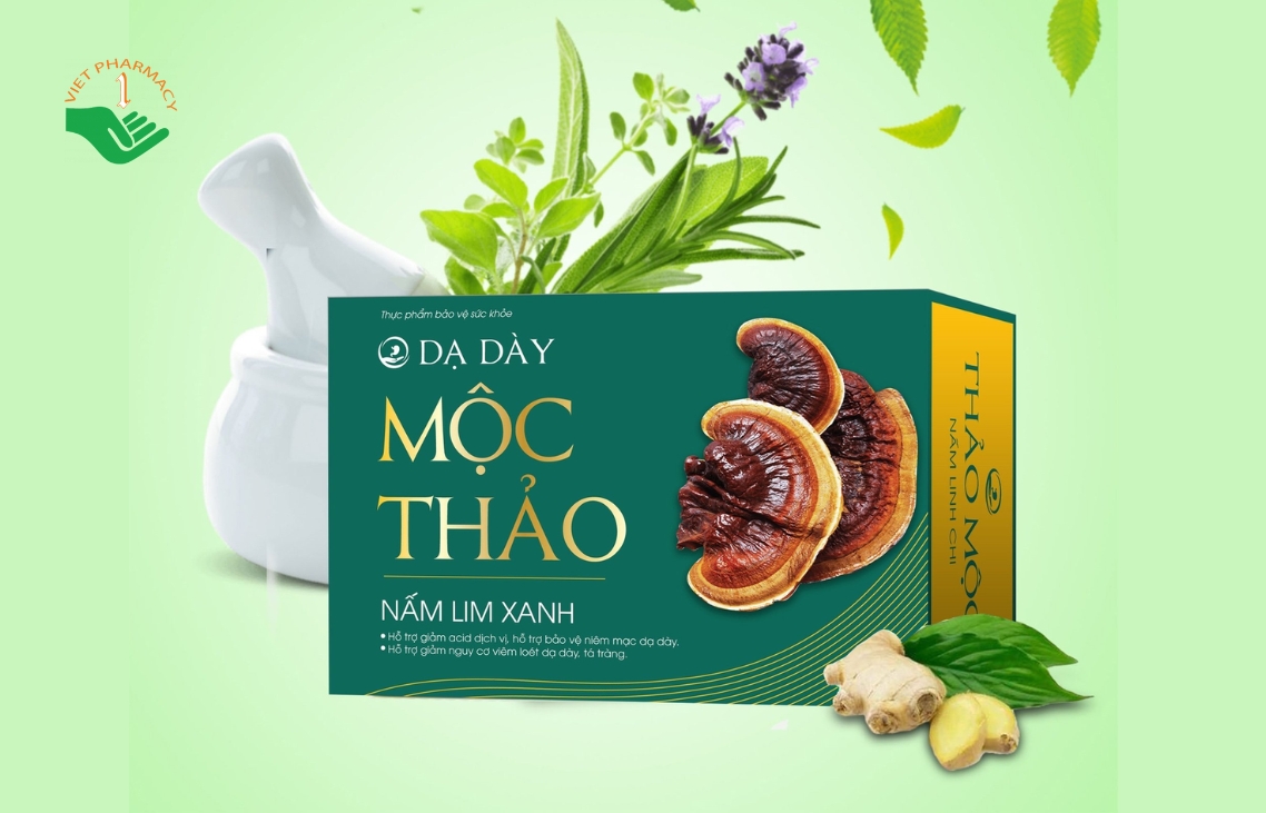 Dạ dày Mộc Thảo nấm lim xanh 