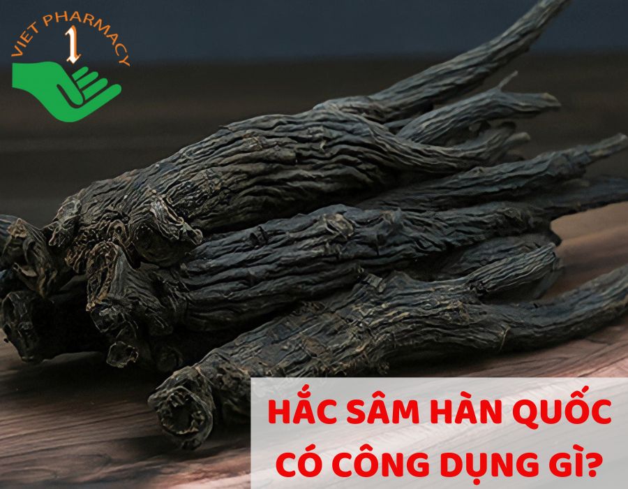 Công dụng của Hắc sâm Hàn Quốc