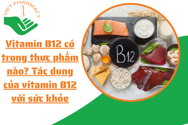 Vitamin B12 có trong thực phẩm nào? tác dụng của vitamin B12 với sức khỏe
