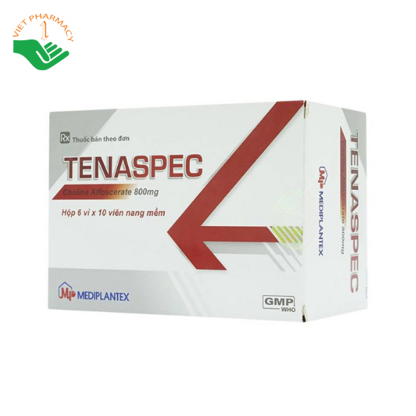 Thuốc Tenaspec 800mg - Hỗ trợ điều trị sa sút trí tuệ