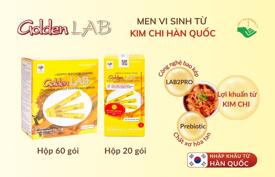 Golden Lab - Men vi sinh từ Kim chi Hàn Quốc