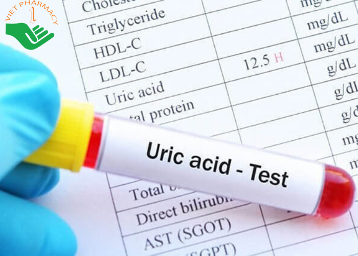 Acid uric là sản phẩm từ quá trình phân hủy purin