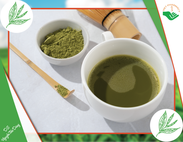  Trà matcha Nhật Bản mang lại nhiều lợi ích cho sức khoẻ