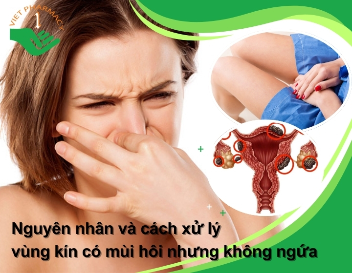 Vùng kín có mùi hôi nhưng không ngứa: Nguyên nhân và cách xử lý