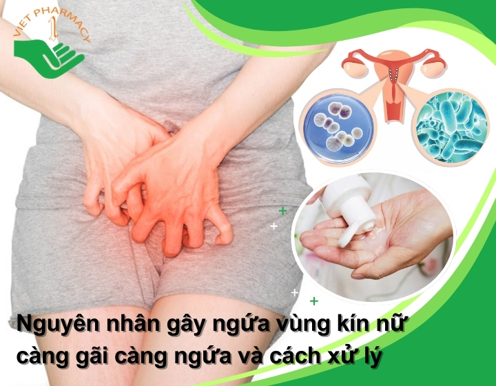 Nguyên nhân gây ngứa vùng kín nữ càng gãi càng ngứa và cách xử lý