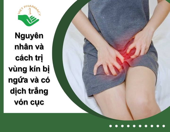 Nguyên nhân và cách trị vùng kín bị ngứa và có dịch trắng vón cục