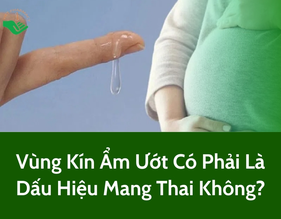 Giải đáp: Vùng kín ẩm ướt có phải dấu hiệu mang thai không?