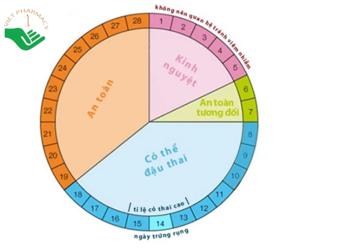  Tính ngày rụng trứng dựa vào chu kỳ kinh nguyệt