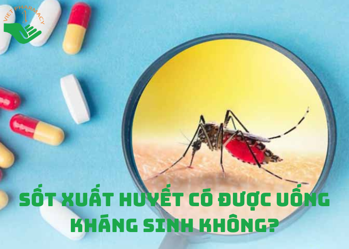 Giải đáp: Sốt xuất huyết có được uống kháng sinh không?