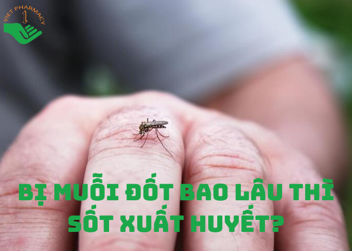 Bị muỗi đốt bao lâu thì sốt xuất huyết, bạn biết chưa?