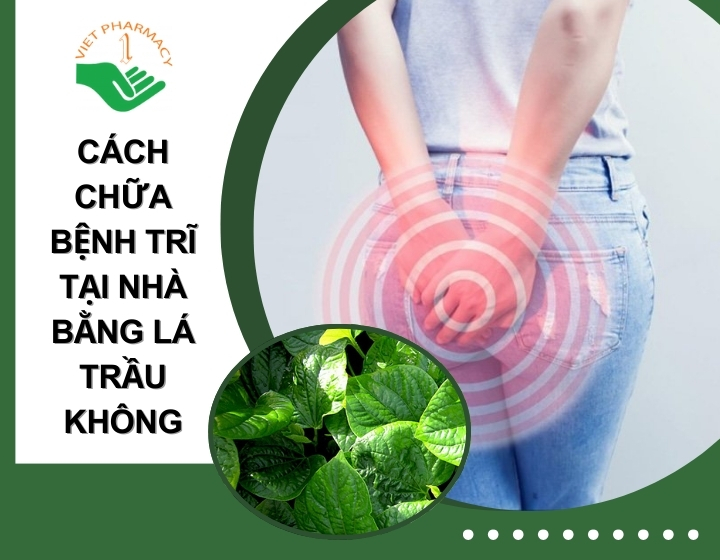 Mách bạn cách chữa bệnh trĩ tại nhà bằng lá trầu không​ an toàn và hiệu quả