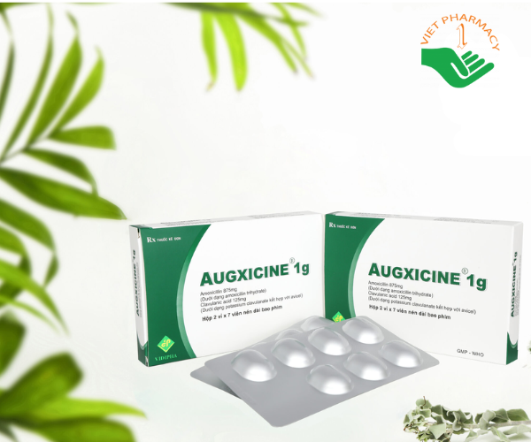 Thuốc kháng sinh Augxicine 1g (hộp 10 vỉ x 10 viên)