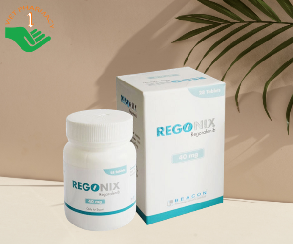 Thuốc điều trị ung thư trực tràng di căn Regonix 40mg