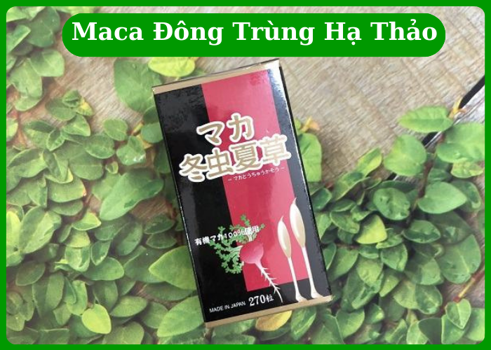 Maca Đông Trùng Hạ Thảo