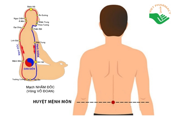  Bấm huyệt Mệnh Môn hỗ trợ chữa liệt dương